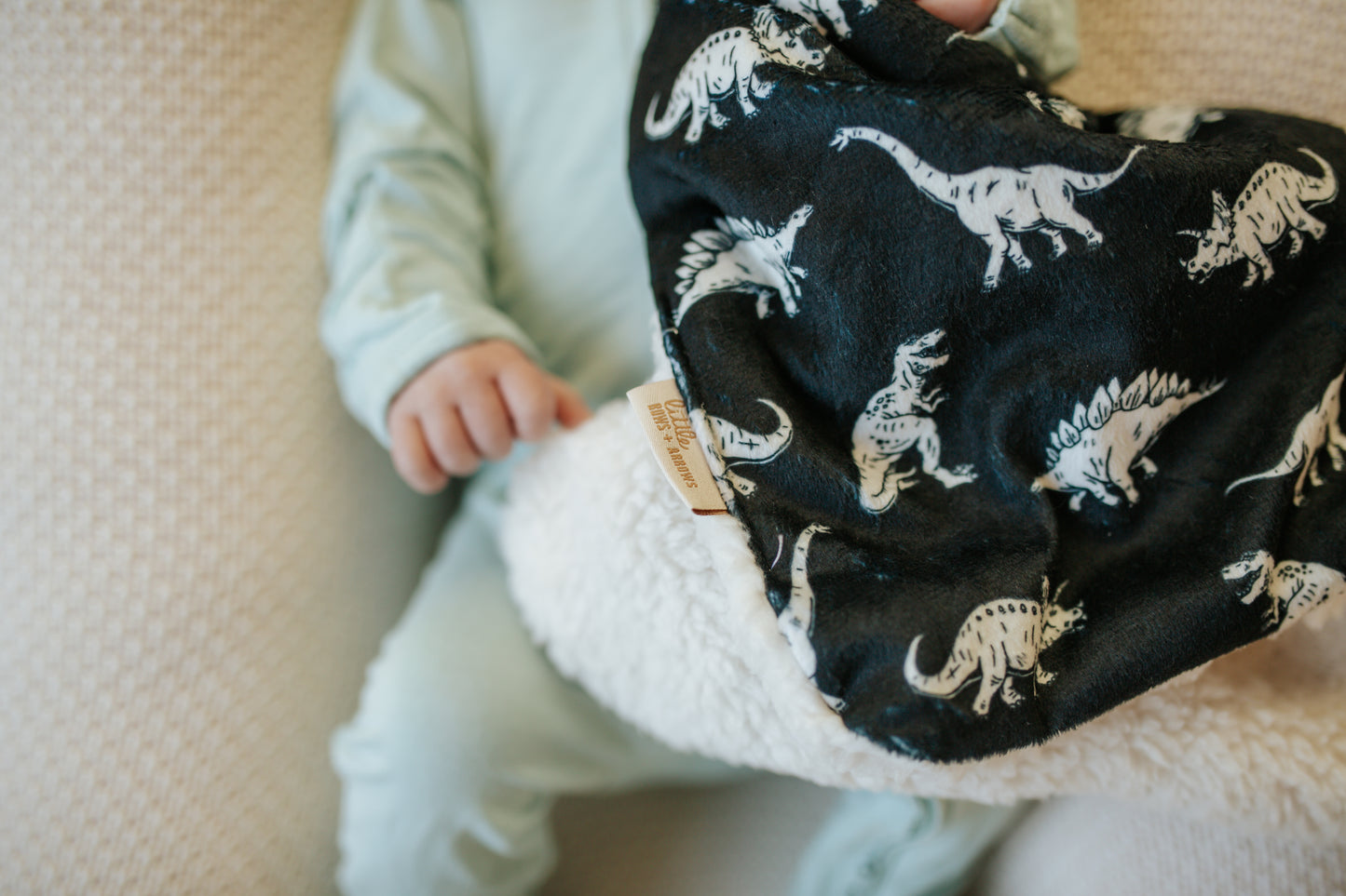 Minky Lovey | Dino