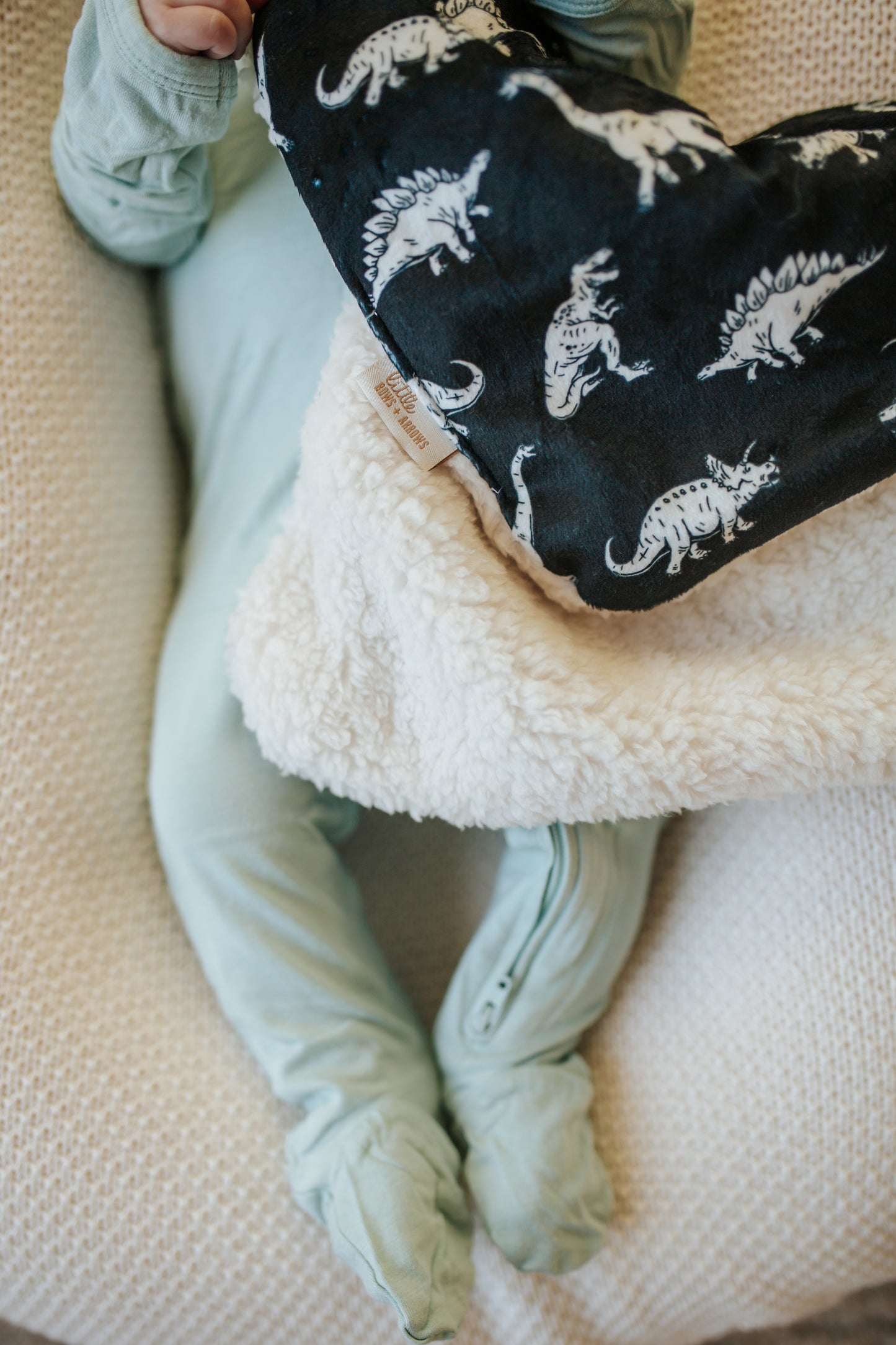 Minky Lovey | Dino