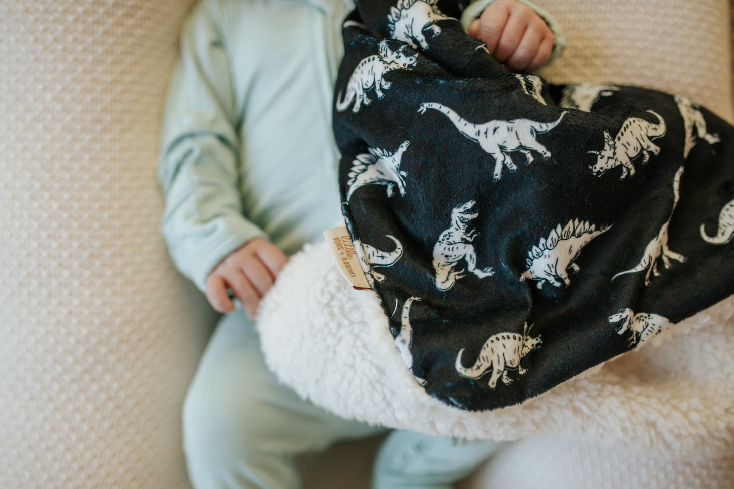 Minky Lovey | Dino