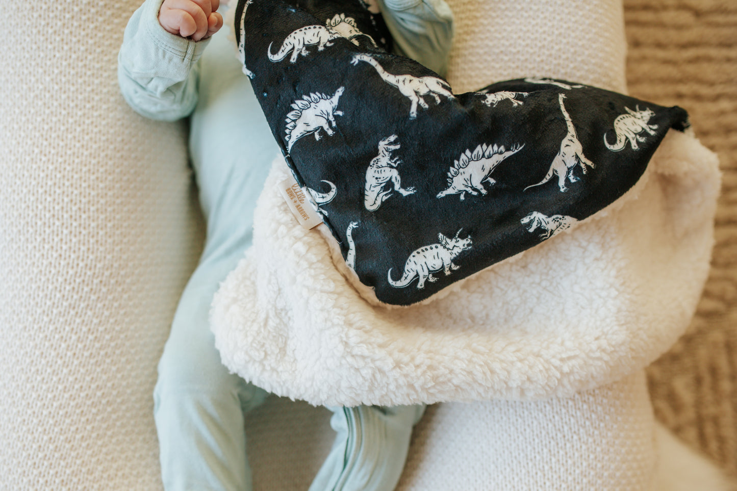 Minky Lovey or Full Size Blanket | Dino